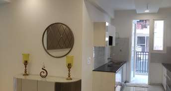 3 BHK Apartment For Resale in Ansal API Victoria Floors Dhakoli Village Zirakpur 6501132