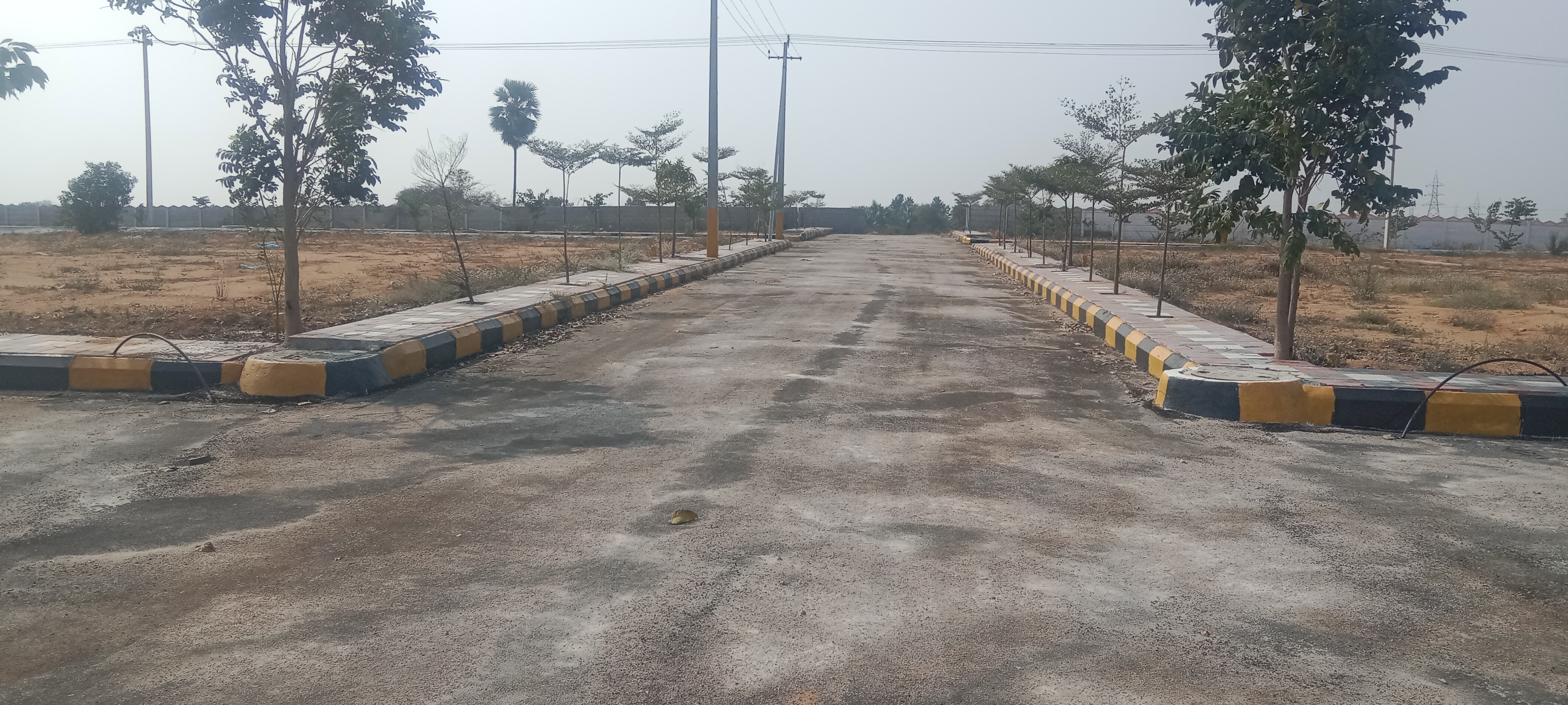 Plot For Resale in Kompally Hyderabad  6501444