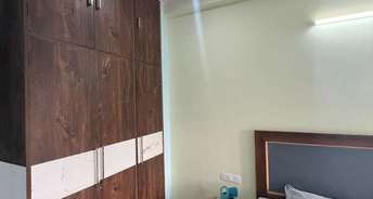 1 BHK Apartment For Rent in Sector 52 Gurgaon 6501970