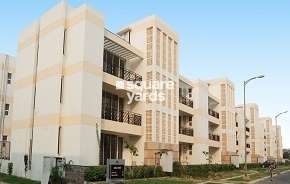 3 BHK Apartment For Rent in Puri Vip Floors Sector 81 Faridabad 6502001