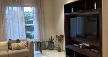 4 BHK Apartment For Resale in ATS Triumph Sector 104 Gurgaon 6502423