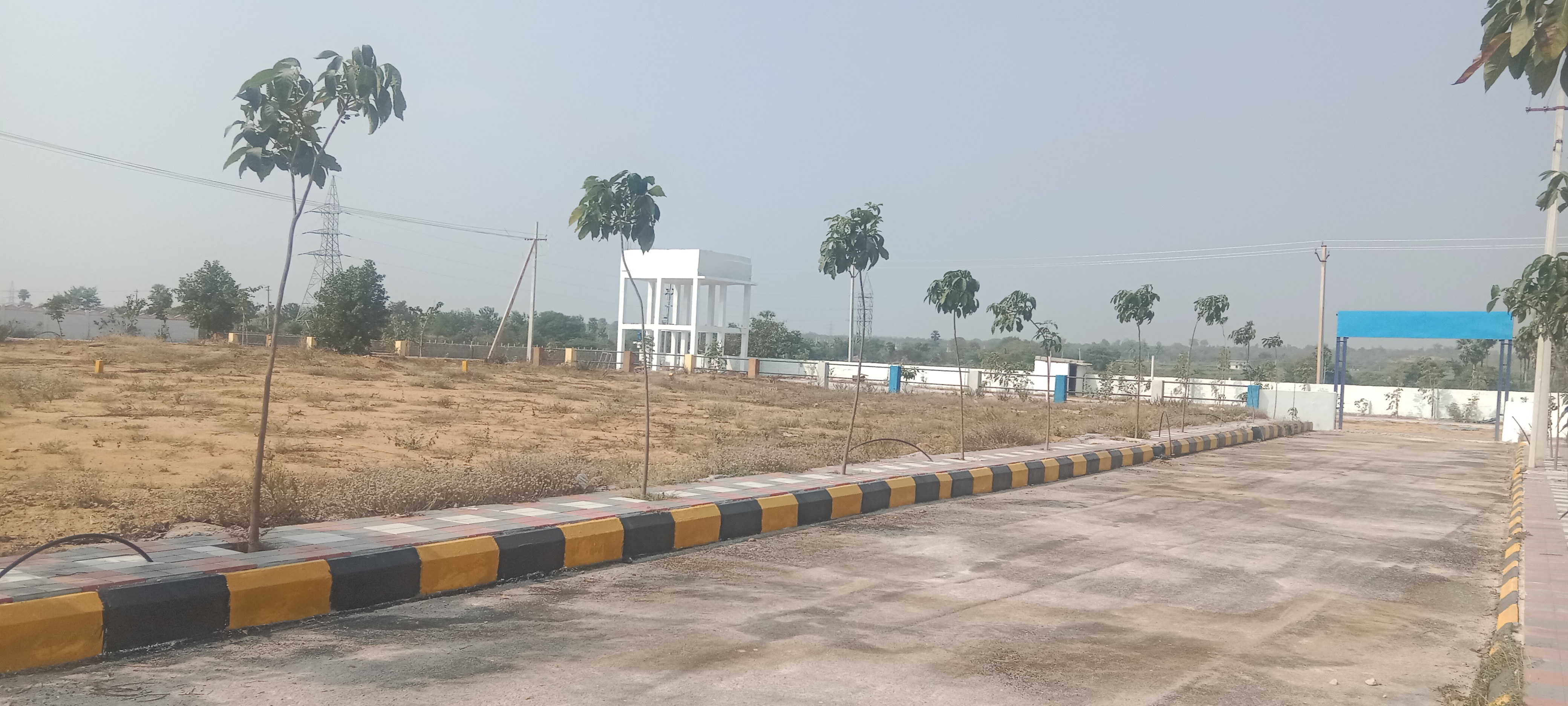 Plot For Resale in Tatti Annaram Hyderabad  6502970