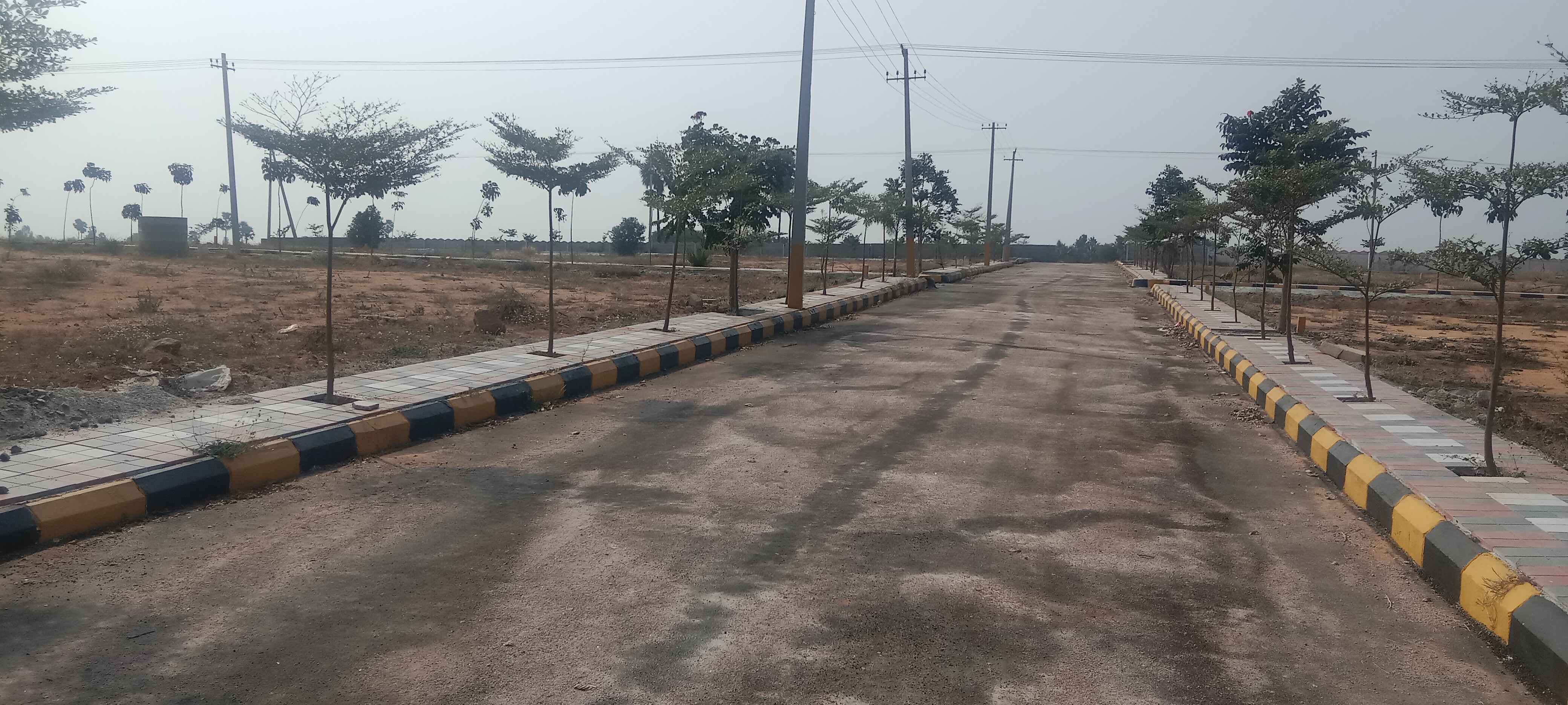 Plot For Resale in Pedda Amberpet Hyderabad  6502978