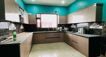 3 BHK Builder Floor For Rent in Ballabhgarh Sector 65 Faridabad 6503135