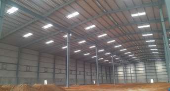 Commercial Warehouse 90000 Sq.Yd. For Rent In Ranabhutia Kolkata 6503339
