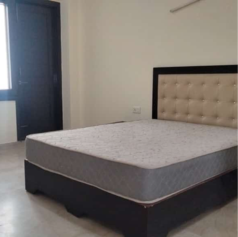 3 BHK Builder Floor For Rent in RWA Pamposh Enclave GK Greater Kailash I Delhi  6503463