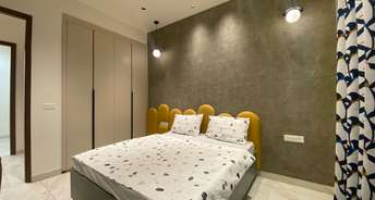 3 BHK Apartment For Resale in Sector 126 Mohali 6504028