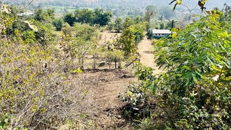 Plot For Resale in Varve bk Pune  6503995