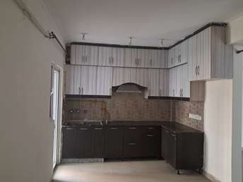 3 BHK Apartment For Rent in Saviour Park Mohan Nagar Ghaziabad 6504160