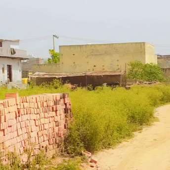 Plot For Resale in Bhuapur Faridabad  6504801