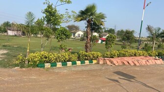 Plot For Resale in Sector 37 Greater Noida Greater Noida  6504878