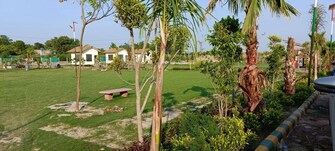 Plot For Resale in Sector 37 Greater Noida Greater Noida  6504878