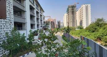 1 BHK Apartment For Resale in Godrej Hillside Mahalunge Pune 6505481