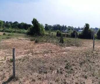  Plot For Resale in Thiruverumbur Trichy 6505319