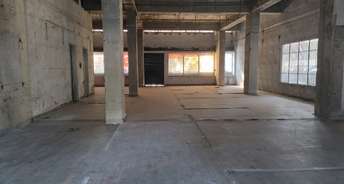 Commercial Showroom 2000 Sq.Ft. For Rent In Sector 34 Chandigarh 6505839