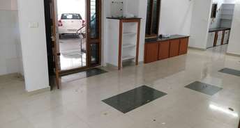 Commercial Office Space 1800 Sq.Ft. For Rent In Seethammadhara Vizag 6506287