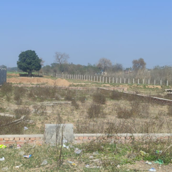 Commercial Land 107 Sq.Yd. For Resale in Kurali Mohali  6506358