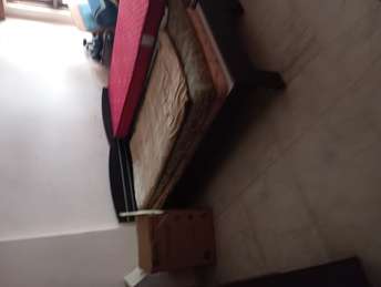 3 BHK Apartment For Rent in Bani Park Jaipur  6506353