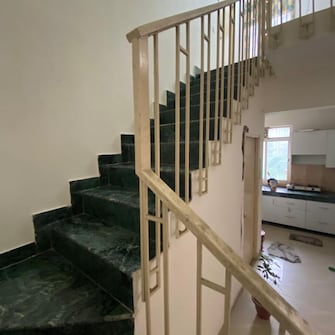 3 BHK Apartment For Resale in Paramount Floraville Sector 137 Noida  6506447