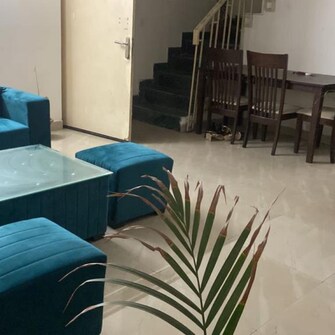 3 BHK Apartment For Resale in Paramount Floraville Sector 137 Noida  6506447