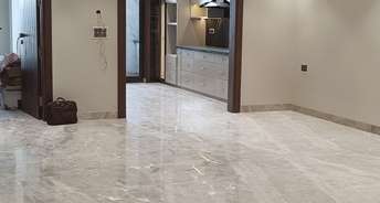 4 BHK Builder Floor For Rent in Dayanand Vihar RWA Anand Vihar Delhi 6506710