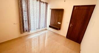 3 BHK Builder Floor For Resale in Sunny Enclave Mohali 6506807