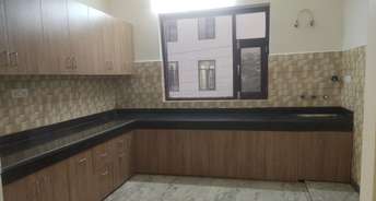 4 BHK Apartment For Rent in Amrapali Platinum Sector 119 Noida 6507354