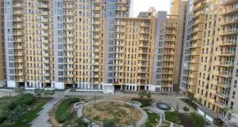 2 BHK Apartment For Resale in Ireo The Corridors Sector 67a Gurgaon 6508021
