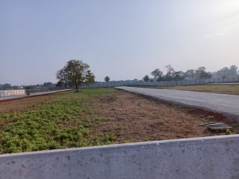 Plot For Resale in Hirapur Raipur  6508391