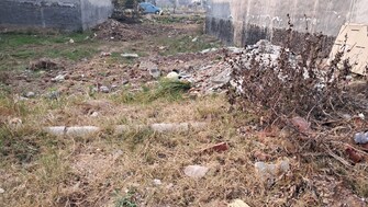 Plot For Resale in Sector 124 Mohali  6509789