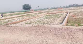 Commercial Land 145 Acre For Resale In Sector 89 Faridabad 6509803