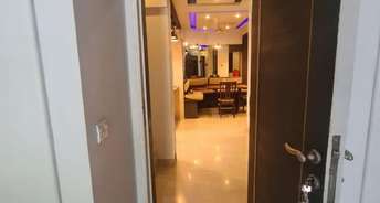 3 BHK Apartment For Resale in Mit Olympus Koregaon Park Pune 6509551