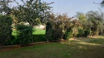 Plot For Resale in Ballabhgarh Faridabad  6509999