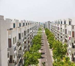 2.5 BHK Apartment For Rent in Vatika Premium Floors Sector 82 Gurgaon  6510128