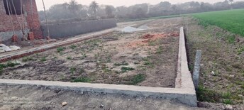 Plot For Resale in Neharpar Faridabad  6510106