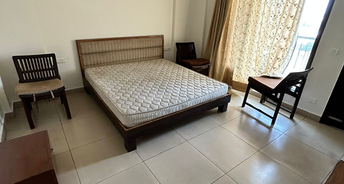 3 BHK Apartment For Rent in Ferozepur Road Ludhiana 6510157