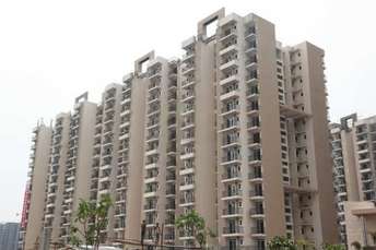 3 BHK Apartment For Rent in Amrapali Golf Homes Sector 4, Greater Noida Greater Noida 6510013