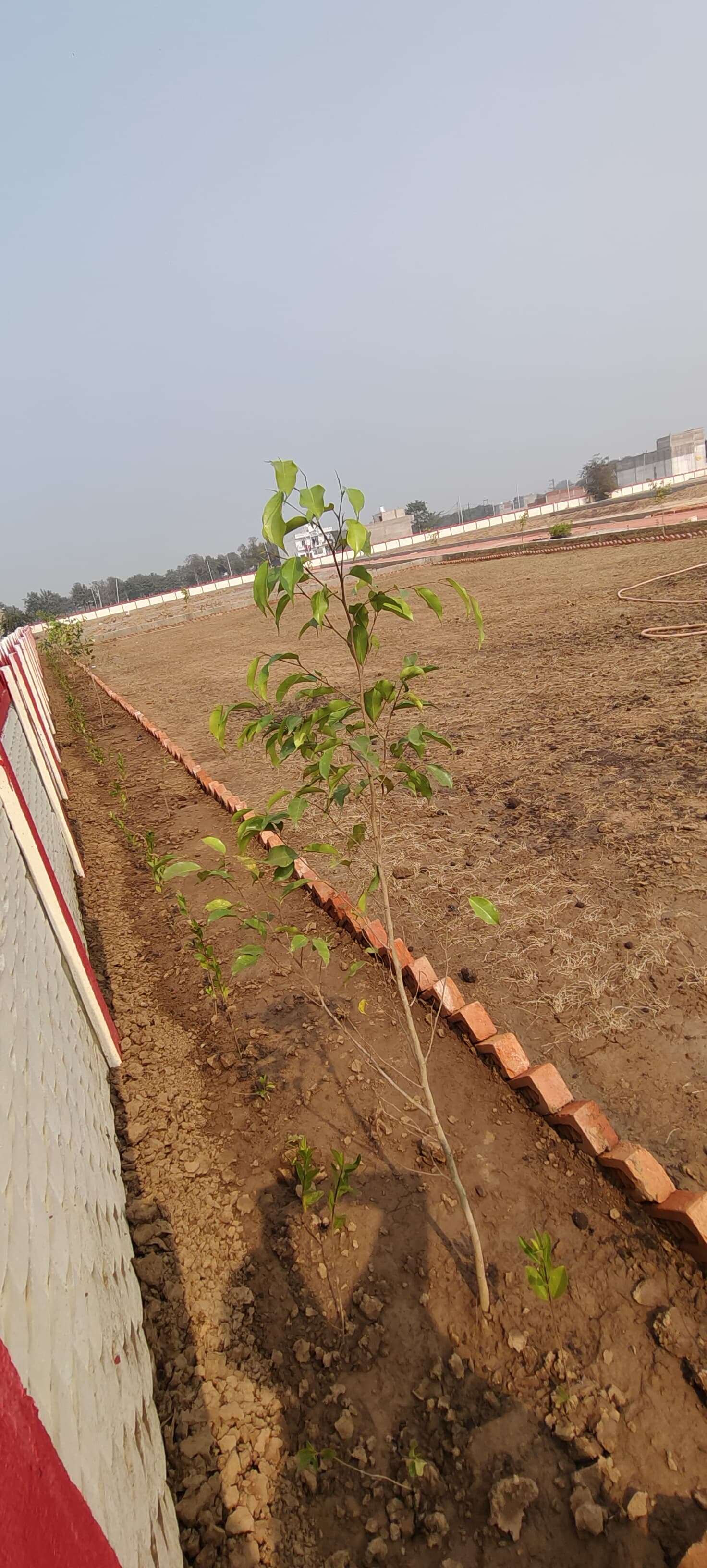 Plot For Resale in Agra Cantt Agra  6510415