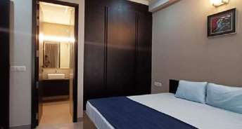 1 BHK Apartment For Rent in Ashok Meadows Hinjewadi Pune 6510506