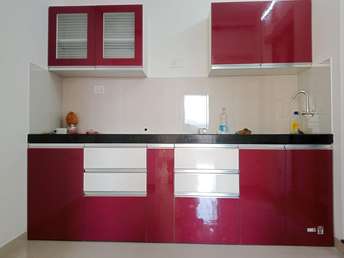 2 BHK Apartment For Rent in Shapoorji Pallonji Sensorium Hinjewadi Pune 6510910