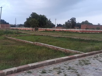 Plot For Resale in Shuklaganj Unnao  6511015