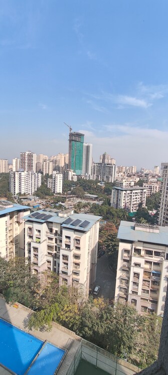 3 BHK Apartment For Resale in Vijay Vilas Vega Building 1 to 6 CHS Ltd Kavesar Thane  6511092