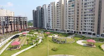 2 BHK Apartment For Rent in Dera Bassi SAS Nagar 6511731