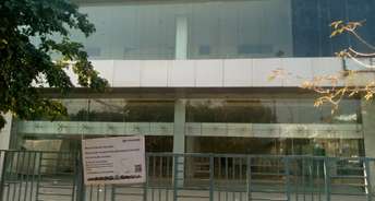 Commercial Showroom 20000 Sq.Ft. For Rent In Sector 3 Noida 6511957