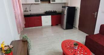 2 BHK Apartment For Rent in Signature Global Solera 2 Sector 107 Gurgaon 6514146