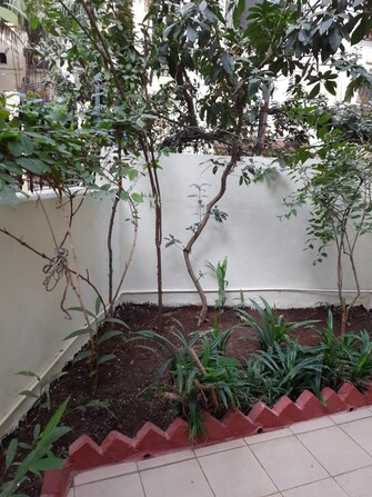 4 BHK Independent House For Resale in Panch Pakhadi Thane  6514803