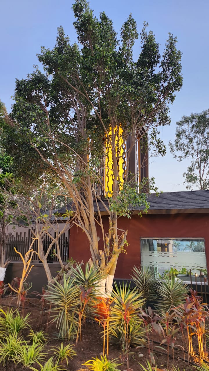 Resale 4 Bedroom 6000 Sq.Ft. Villa in Sindh Society, Aundh Pune 6514931