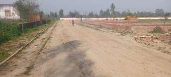  Plot For Resale in Jail Road Lucknow 6515552