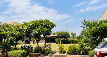 3 BHK Villa For Resale in Sanand Ahmedabad 6515549