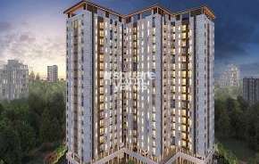 2 BHK Apartment For Resale in Krisala 41 Cosmo Tathawade Pune 6516114